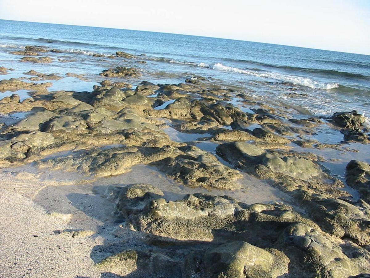 Cotillosand Luaran gambar
